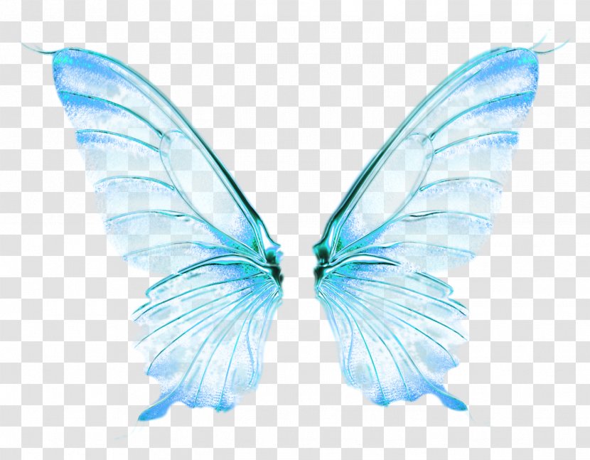 Butterfly Wing Desktop Wallpaper - Polyvore - Wings Transparent PNG