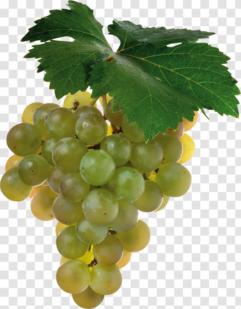 Shiraz Cabernet Sauvignon Blanc Wine Grape - Grapevines Transparent PNG