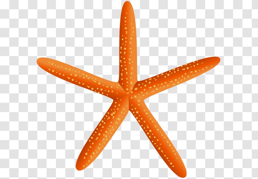 Christmas Download Clip Art - Starfish Transparent PNG