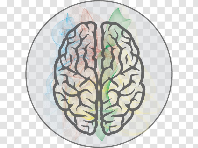 Clip Art Vector Graphics Human Brain Image - Flower Transparent PNG
