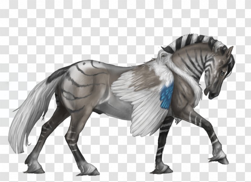 Foal Mustang Pony Stallion Quagga - Drawing Transparent PNG