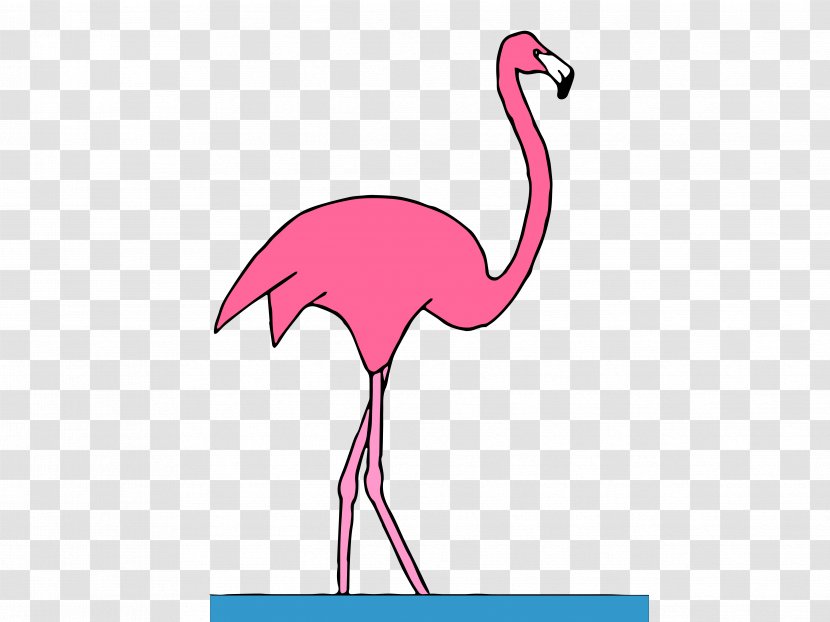 Water Bird Vertebrate Crane Beak - Flamingo - Flamingos Transparent PNG