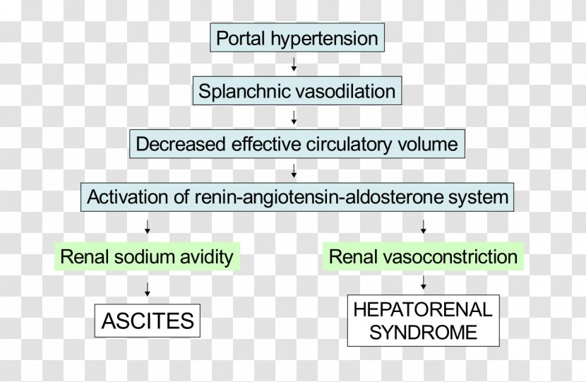 Document Green Line Angle Pathophysiology - Text Transparent PNG