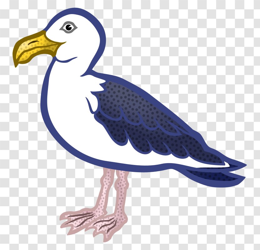 Gulls Bird Clip Art - Laughing Gull Transparent PNG
