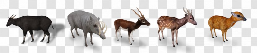 Zoo Tycoon 2: African Adventure Antelope Even-toed Ungulates Animal - 2 Transparent PNG