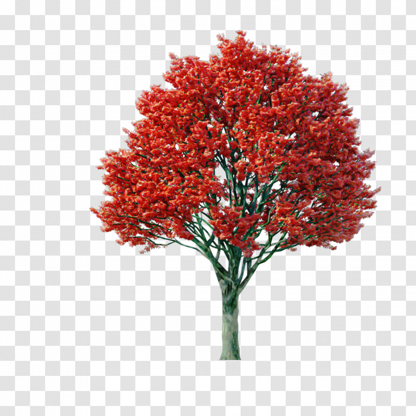 Plant Tree Red Flower Leaf Transparent PNG