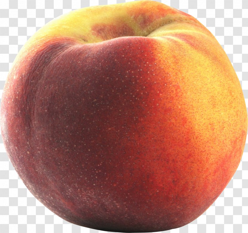 Nectarine Clip Art - Peach Image Transparent PNG