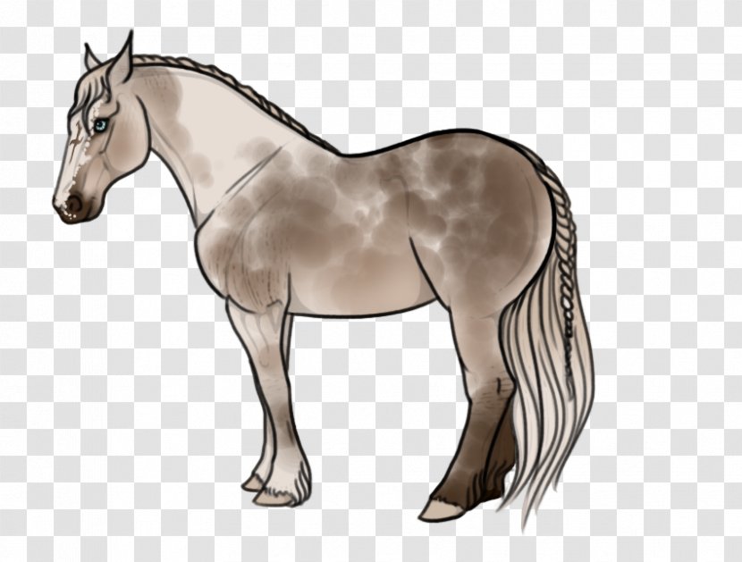 Foal Mare Mustang Stallion Colt - Halter - Horsemen Design Element Transparent PNG