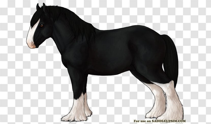 Shire Horse Pony Mustang Percheron Stallion - Mane Transparent PNG