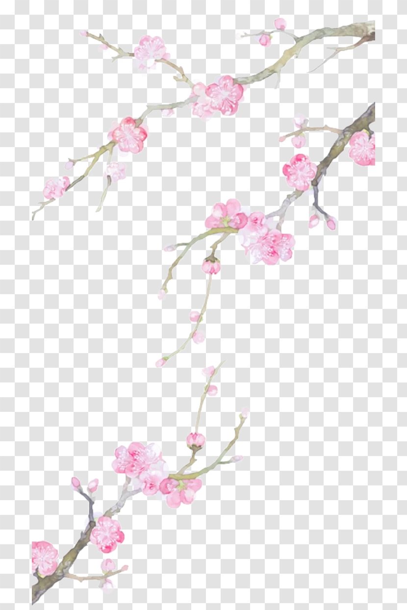 Cartoon Drawing Clip Art - Hand-painted Peach Branches Transparent PNG