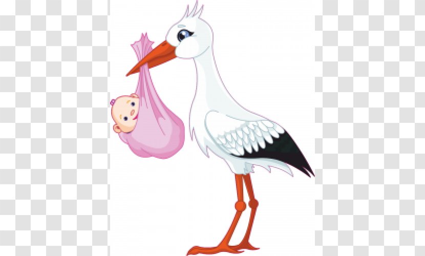 White Stork Clip Art - Photography Transparent PNG