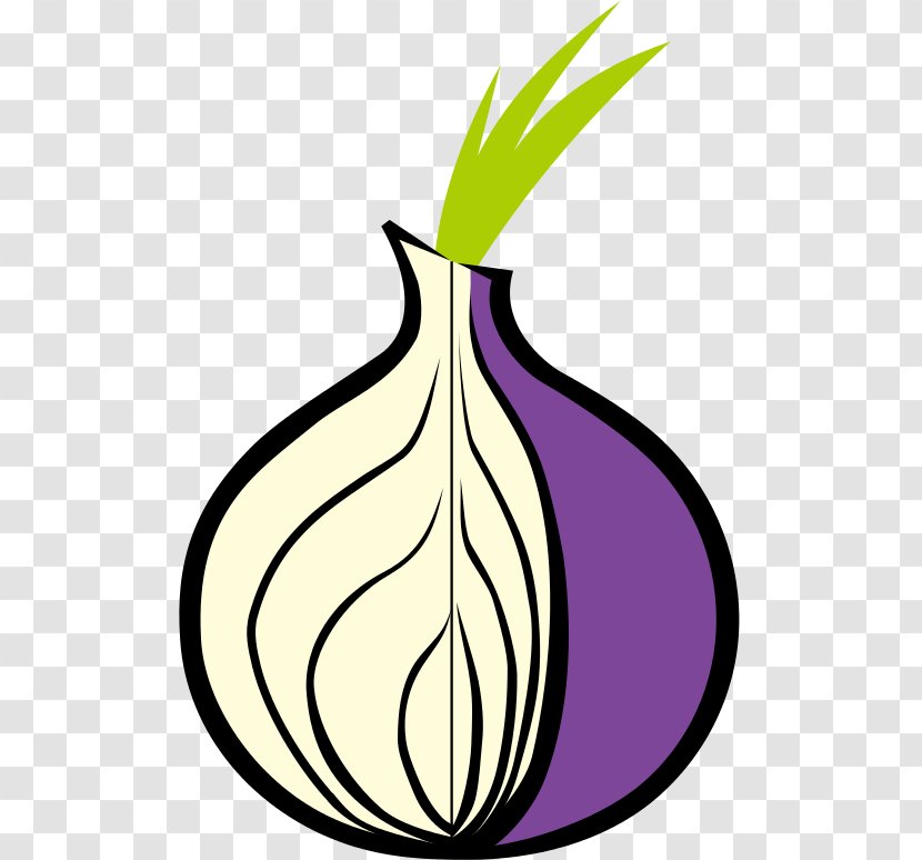 Tor Browser .onion Onion Routing Web Transparent PNG