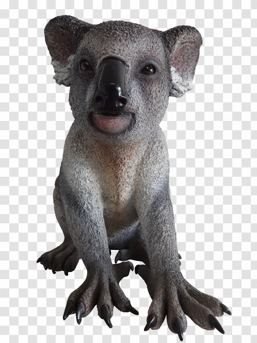 Koala Marsupial Mammal Animal Wildlife - Terrestrial Transparent PNG