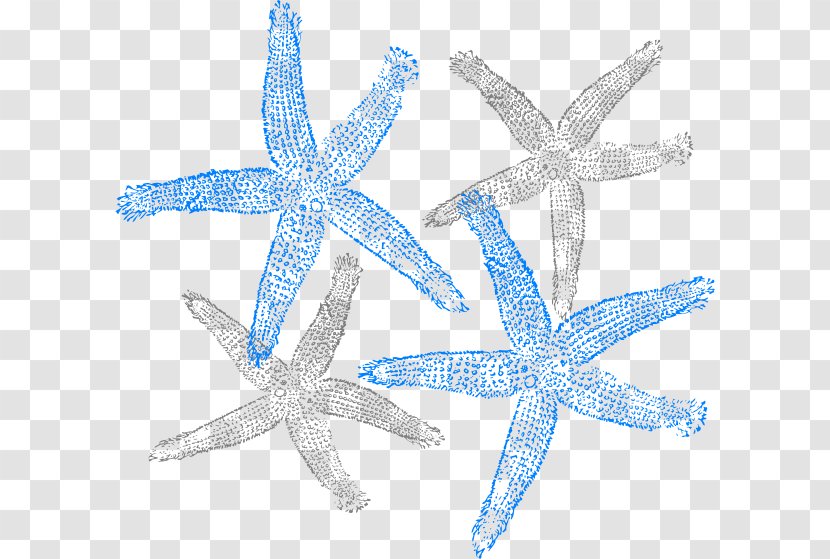 Drawing Clip Art - Starfish Transparent PNG