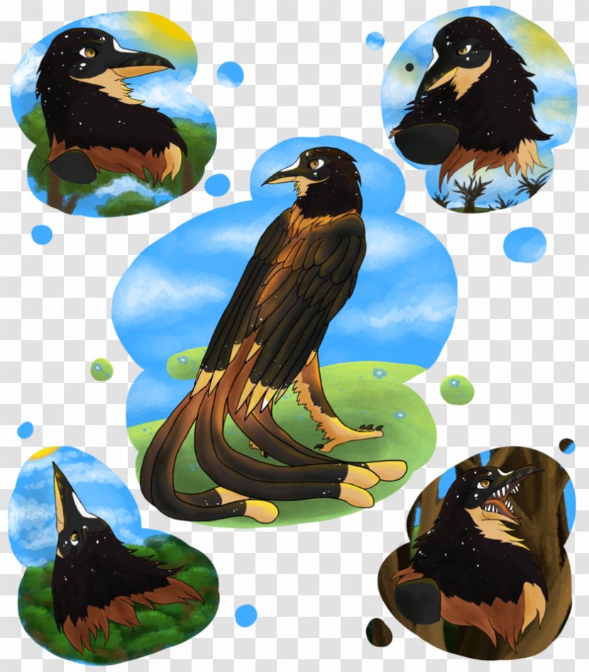 Eagle Fauna Illustration Graphics Beak - Bird Transparent PNG