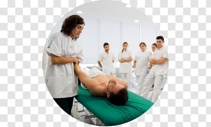 Physical Therapy Health Care Kinesiotherapy Medicine - Chiropractor - Fisioterapia Transparent PNG