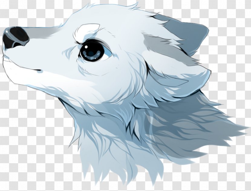 Canidae Dog Marine Mammal Cartoon - Drawing Transparent PNG