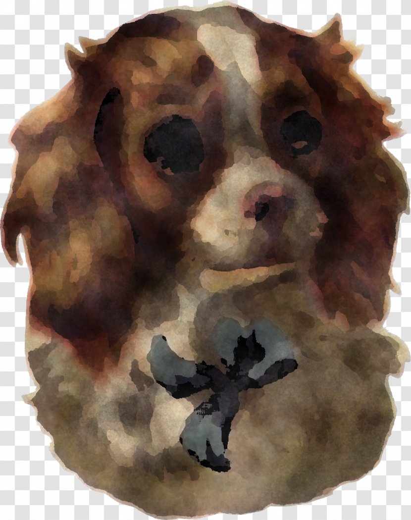 Dog Cocker Spaniel Brown Snout Sporting Group - Breed - Puppy Transparent PNG