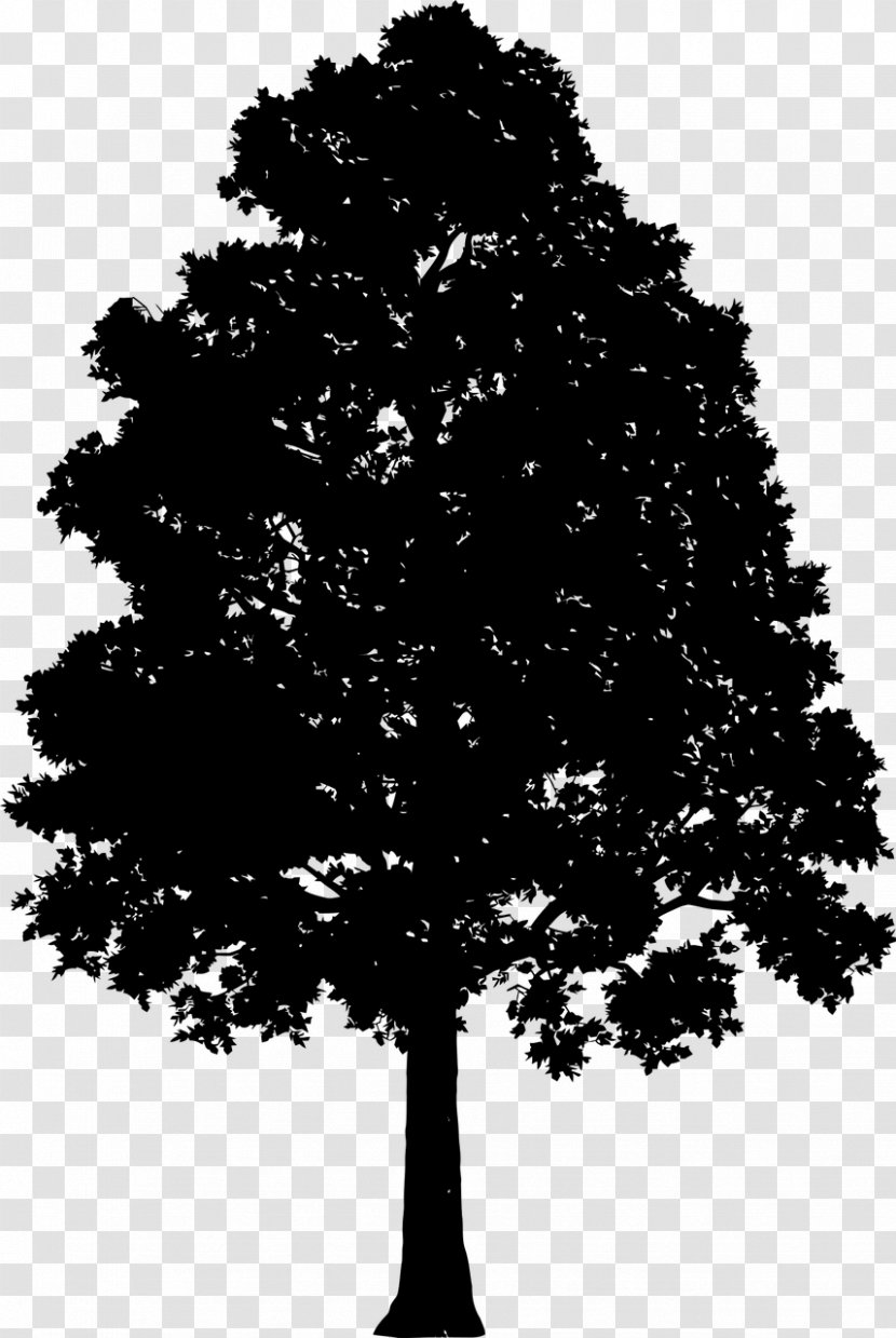 Drawing Tree Silhouette Clip Art - Leaf Transparent PNG