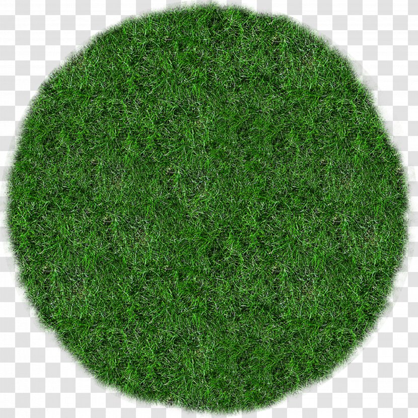 Grass Lawn Mowers Meadow Transparent PNG
