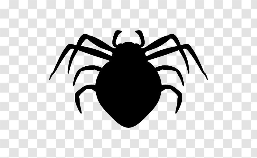 Creepy Spiders Shape Clip Art - Organism - Spider Vector Transparent PNG