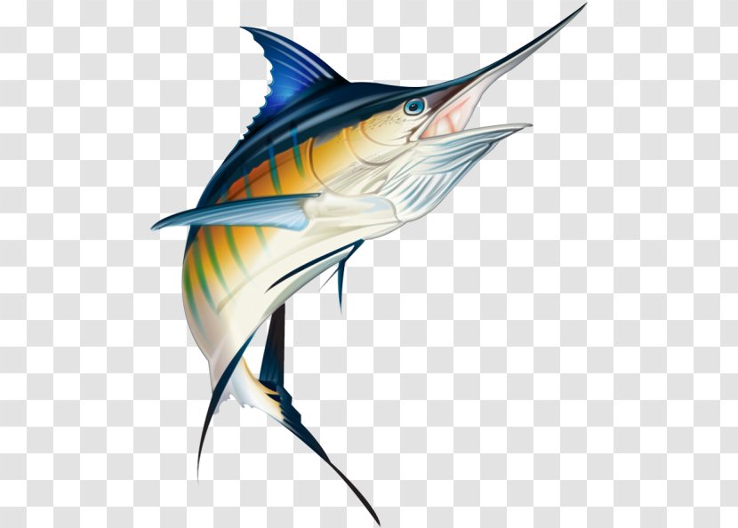Painting Cartoon - Wahoo - Bonyfish Rayfinned Fish Transparent PNG