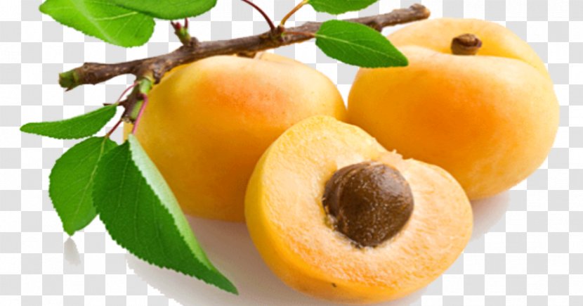 Apricot Oil Carrier Armenian Plum - Grape Seed For Hair Before And After Transparent PNG