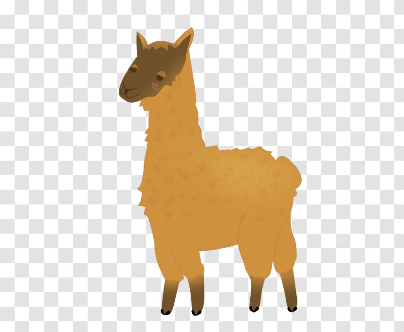 Llama Alpaca Desktop Wallpaper - Mane - Drawing Transparent PNG