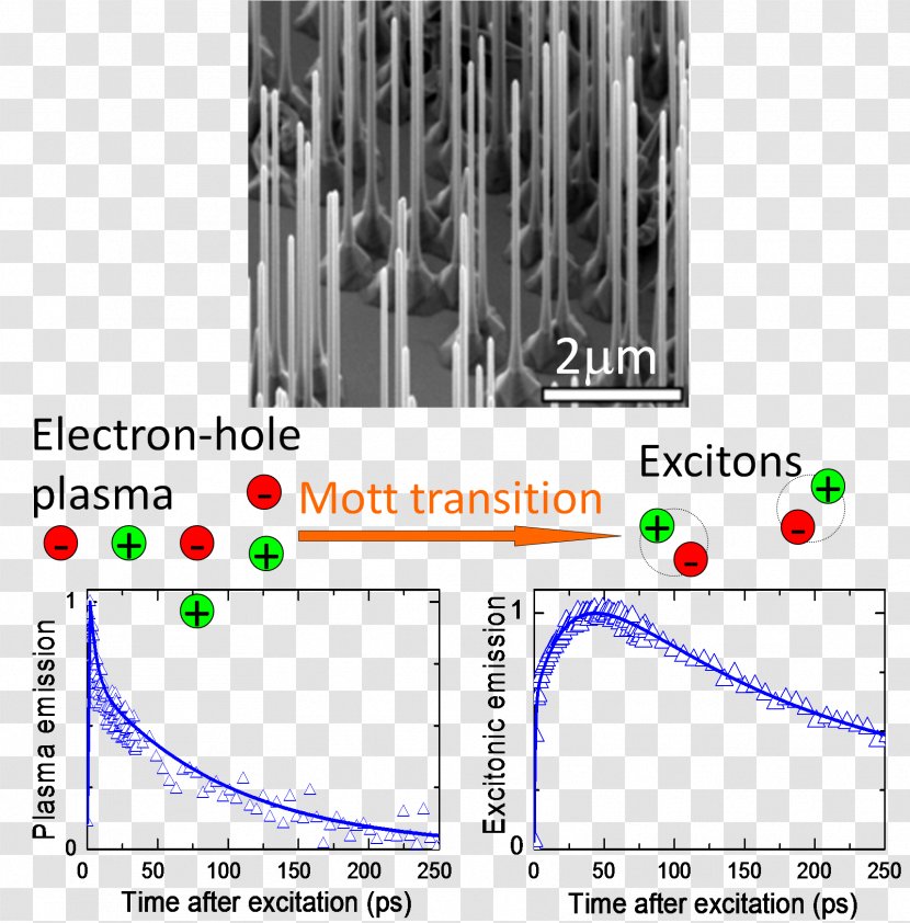Exciton Nanowire Electron Hole Semiconductor - Carrier Generation And Recombination Transparent PNG