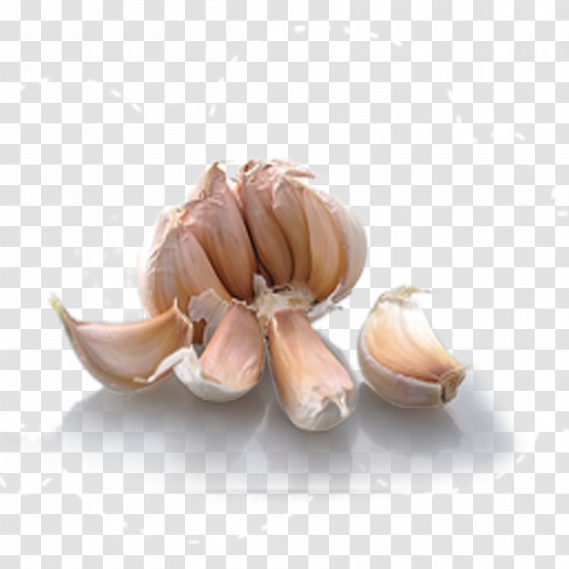 Garlic Bread Condiment Computer File - Shallot Transparent PNG