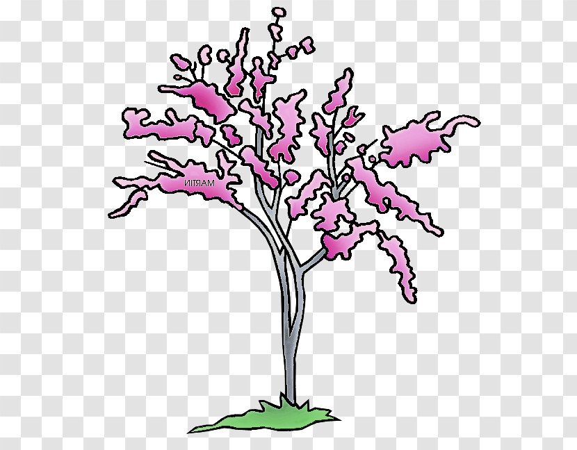 Branch Tree Plant Pink Flower Transparent PNG