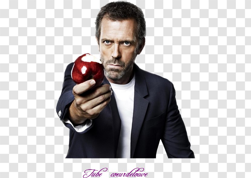 Hugh Laurie Dr. Gregory House - Private Practice - Season 1 Television ShowHugh Transparent PNG