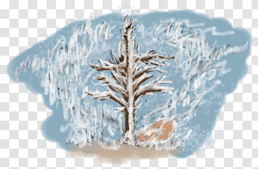 Pine Family Winter Transparent PNG