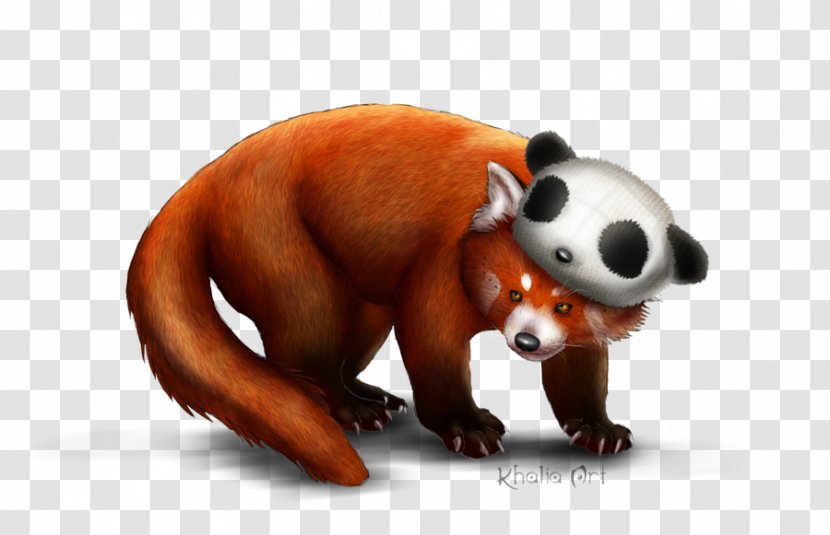Red Panda Giant Bear Cat - Cuteness - Picture Transparent PNG