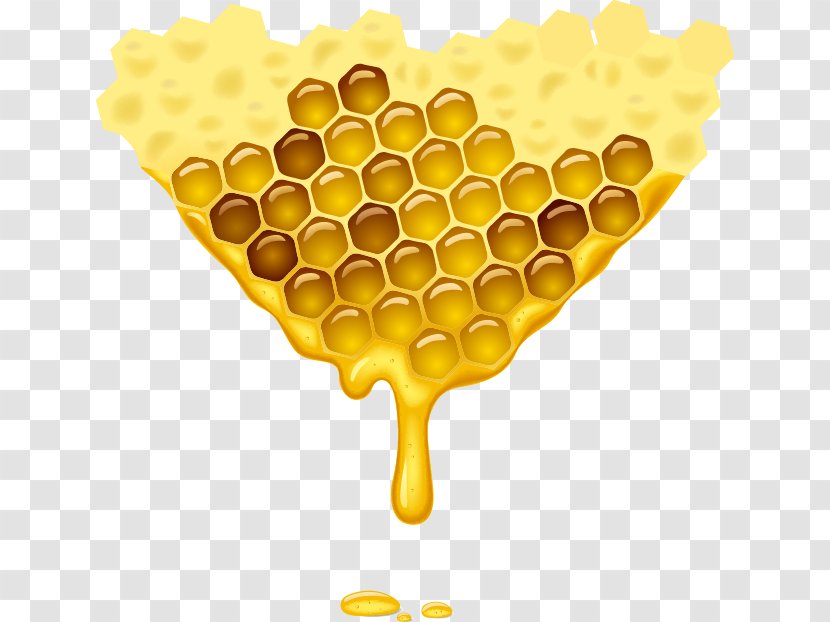 Honey Bee Honeycomb Illustration - Royaltyfree Transparent PNG