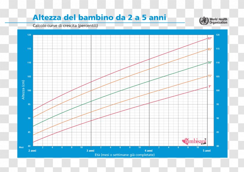 Growth Chart Weight And Height Percentile Human - Number - Boy Transparent PNG