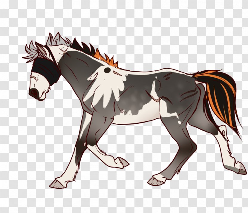 Foal Stallion Mare Mustang Colt - Cartoon Transparent PNG