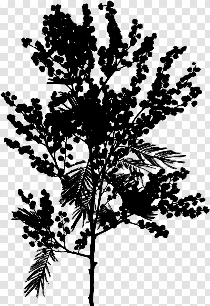 Twig Plant Stem Flower Leaf Pine - Plants Transparent PNG