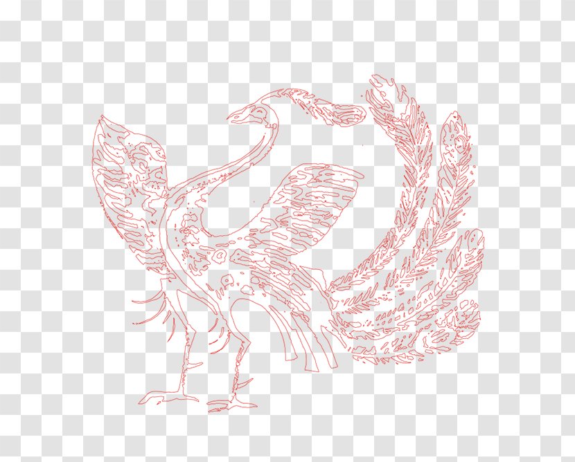 Water Bird Text Wing Illustration - Heart - Red Phoenix Transparent PNG