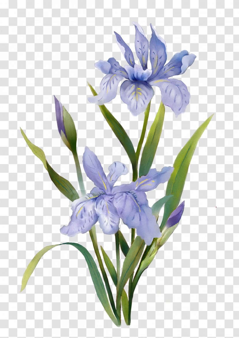 Watercolor: Flowers Watercolor Painting - Flower Arranging - Plants Transparent PNG