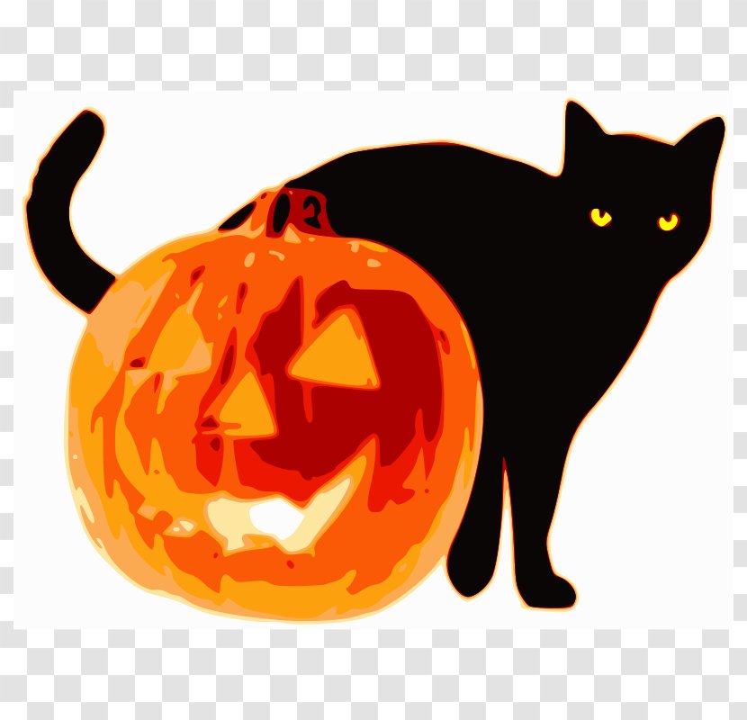 Jack-o-lantern Halloween Pumpkin Clip Art - Cat Pics Transparent PNG
