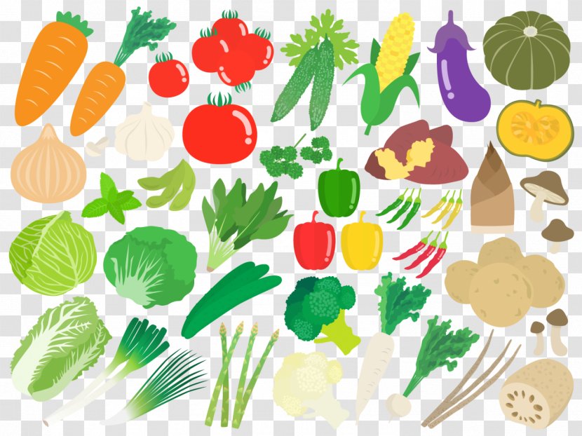 Vegetable Cartoon - Plant - Vegetarian Food Transparent PNG