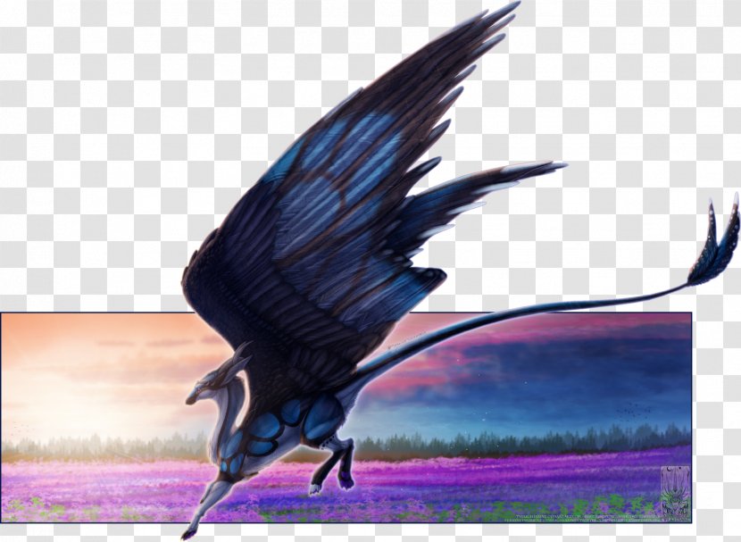 Drawing DeviantArt Dragon Feather - Wildlife - Sports Background Shading Transparent PNG