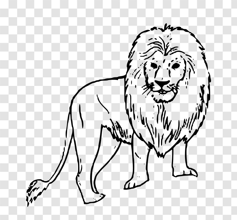 Lion Drawing Black And White Clip Art - Wildlife Transparent PNG