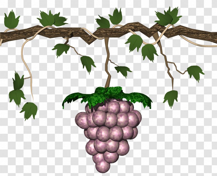 Grape-Nuts Animation Clip Art - Grape Transparent PNG