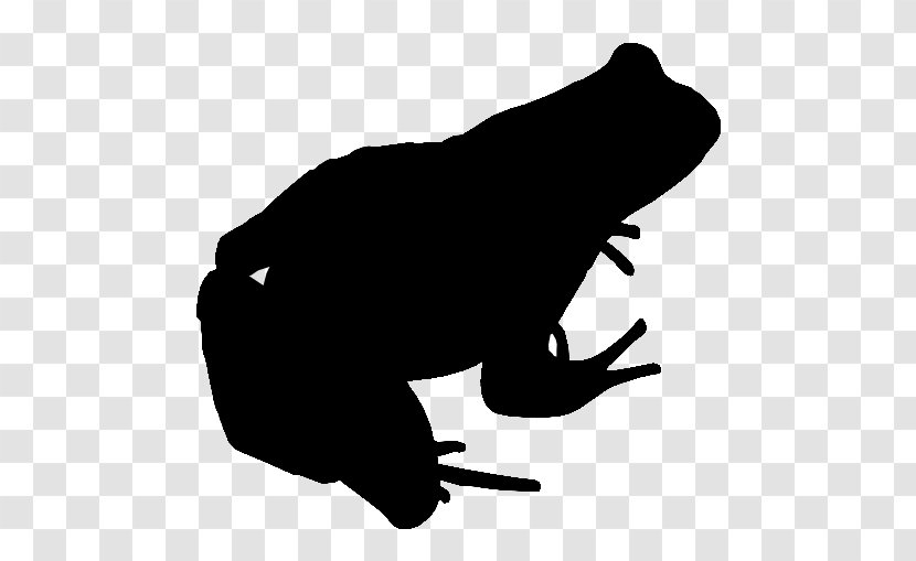 Frog Amphibians Toad Katak Dan Kodok - Finger Transparent PNG
