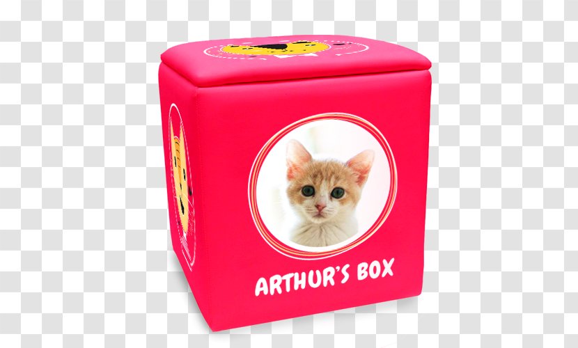 Cat Whiskers Kitten Box Pet - Toy - In Transparent PNG