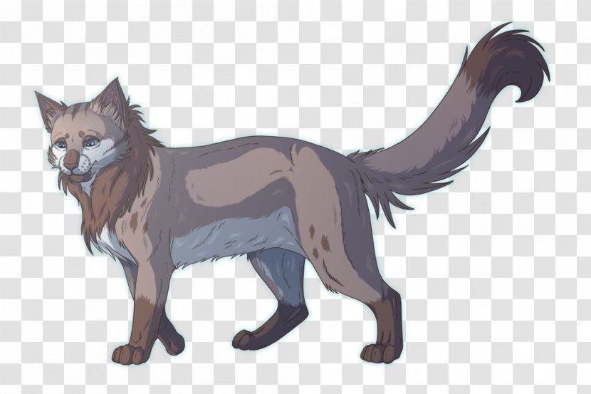 Whiskers Red Fox Cat Fur Fauna Transparent PNG