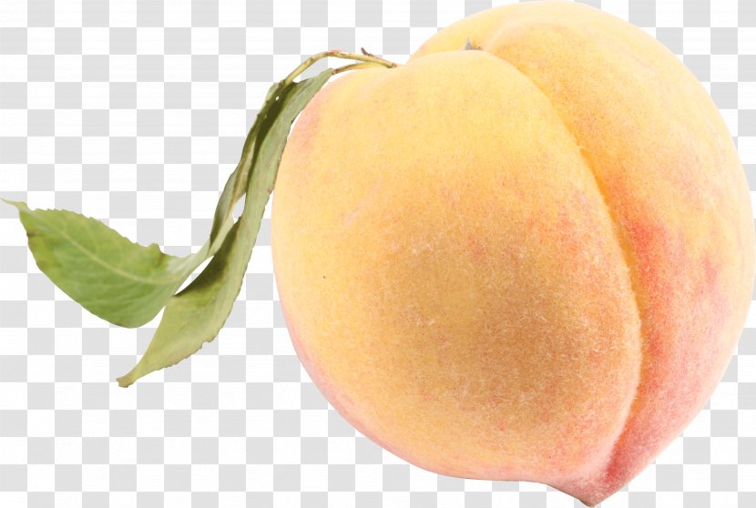 Saturn Peach Nectarine Galette Fruit - Natural Foods - Image Transparent PNG