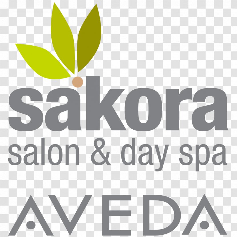 The Blue School Logo Brand Font Product - Sakora Transparent PNG